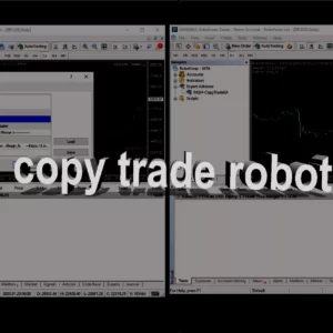 Copy trade robot